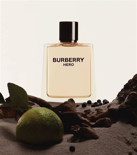 burberry william sale idealo|Burberry Hero Eau de Toilette .